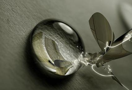 صور غريبة  بتقنية الـ 3D